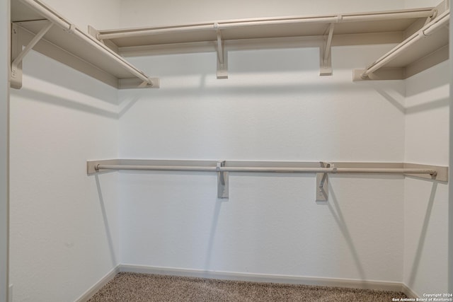 spacious closet featuring carpet floors