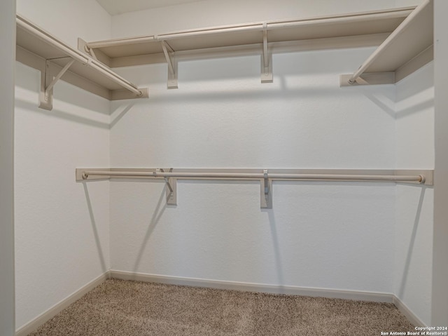 spacious closet with carpet flooring