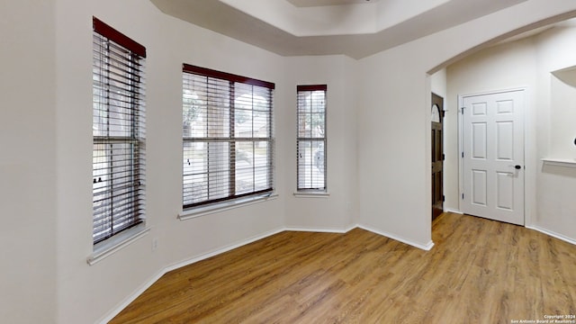 spare room with a raised ceiling and light hardwood / wood-style flooring