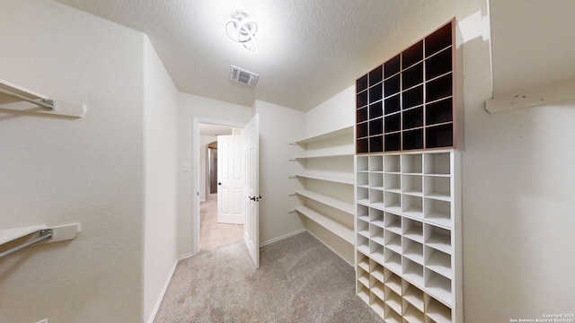 walk in closet with carpet floors