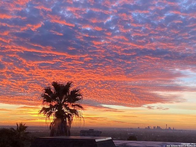 view of nature at dusk