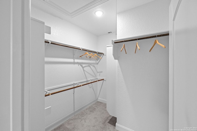 spacious closet featuring light colored carpet