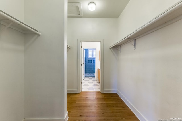 spacious closet featuring wood-type flooring