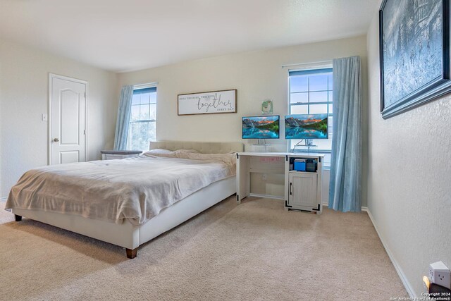 bedroom featuring multiple windows and light colored carpet