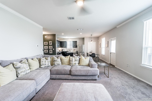 carpeted living room with plenty of natural light, crown molding, and ceiling fan