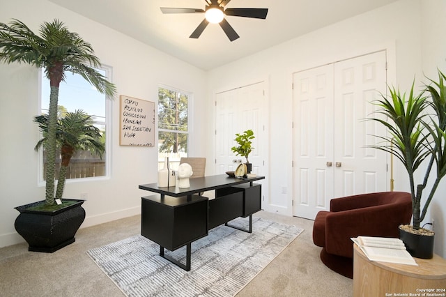 carpeted home office featuring ceiling fan