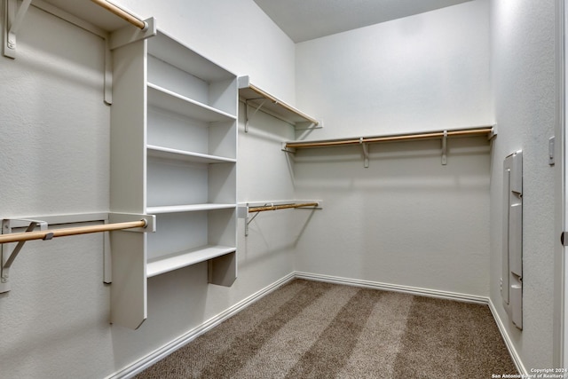 walk in closet featuring carpet