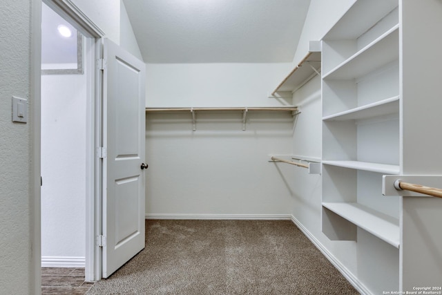 walk in closet featuring carpet flooring