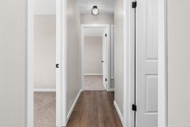 hall with dark hardwood / wood-style flooring