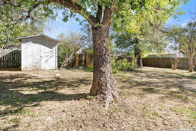 view of yard with a shed