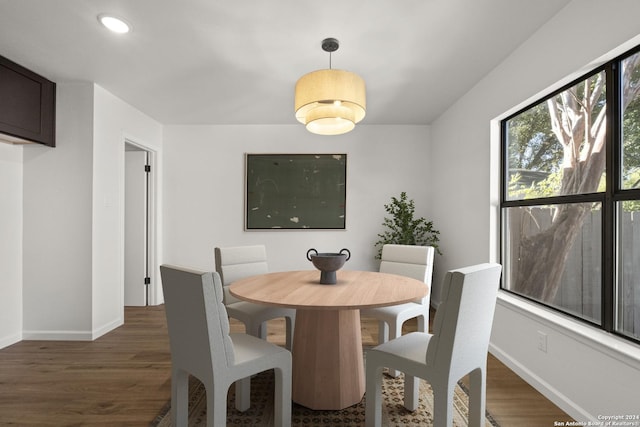 dining space featuring dark wood-type flooring