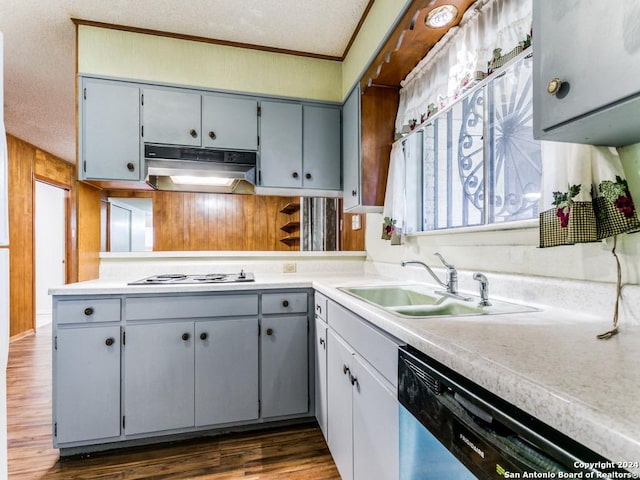 kitchen with a textured ceiling, dark hardwood / wood-style floors, dishwasher, and sink