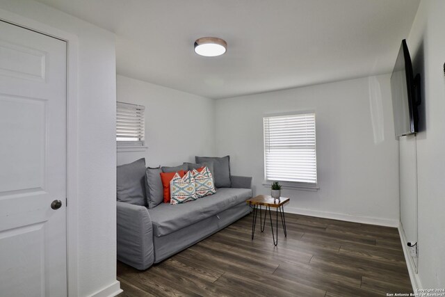 living room featuring dark hardwood / wood-style flooring