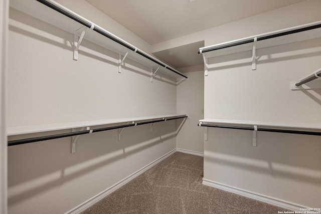 walk in closet with carpet flooring