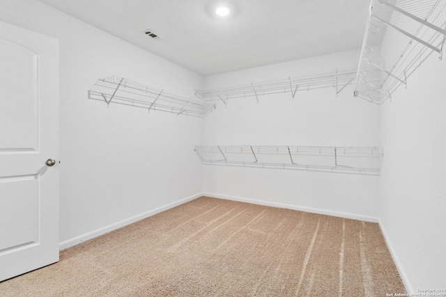3146 Jackson Smt, Converse, TX 78109 - spacious closet with carpet floors