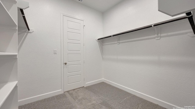 spacious closet with carpet floors