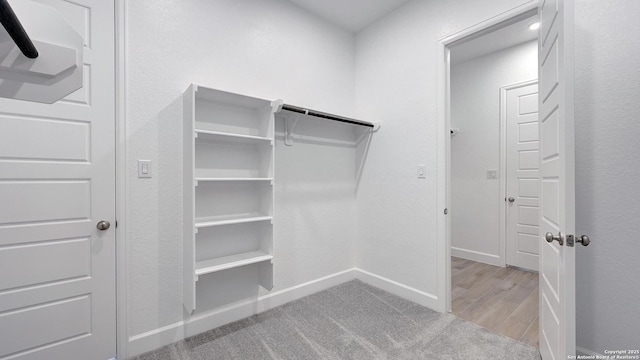 spacious closet with light colored carpet