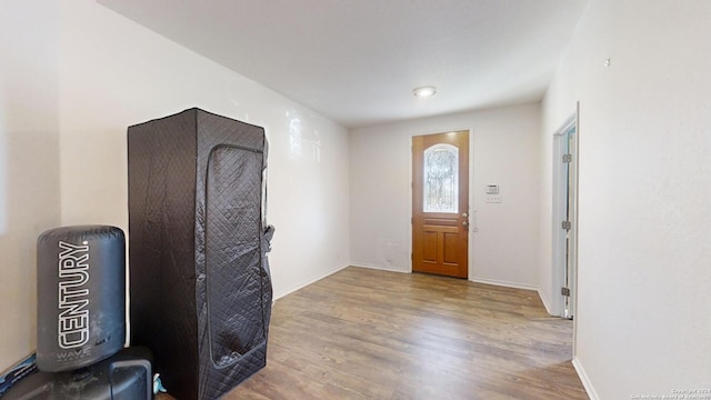 foyer entrance featuring hardwood / wood-style floors