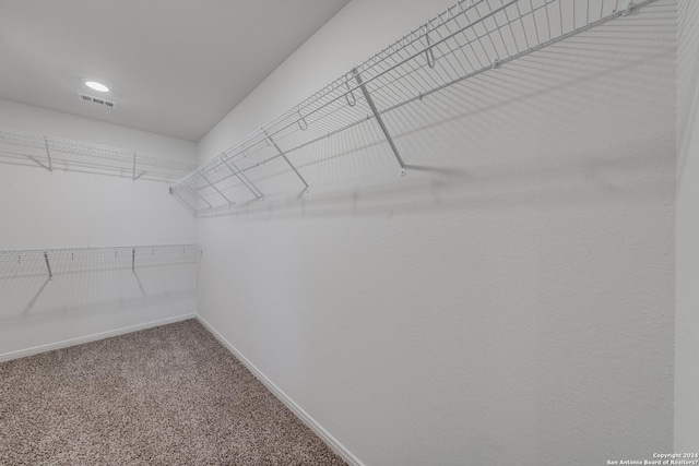 walk in closet with carpet