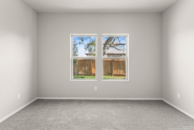 spare room with carpet flooring