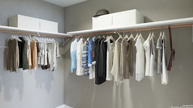 view of spacious closet