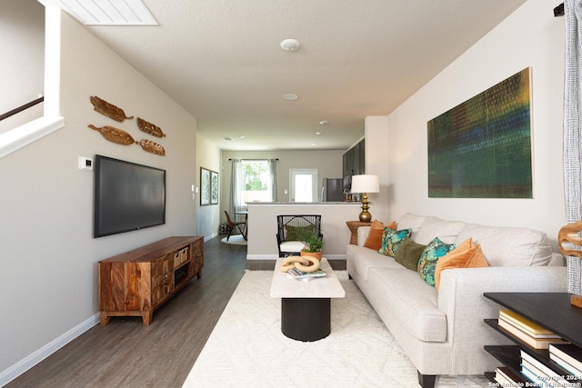 living room featuring dark wood-type flooring