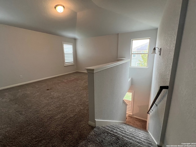 interior space with carpet flooring