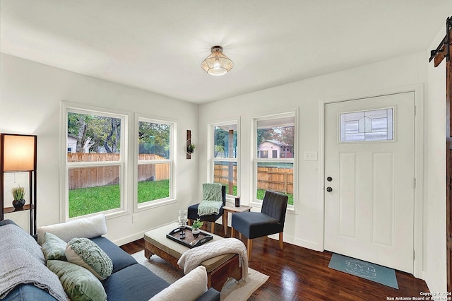 living room featuring a barn door and dark hardwood / wood-style flooring