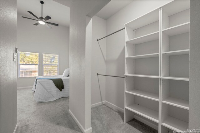 spacious closet featuring ceiling fan and light carpet