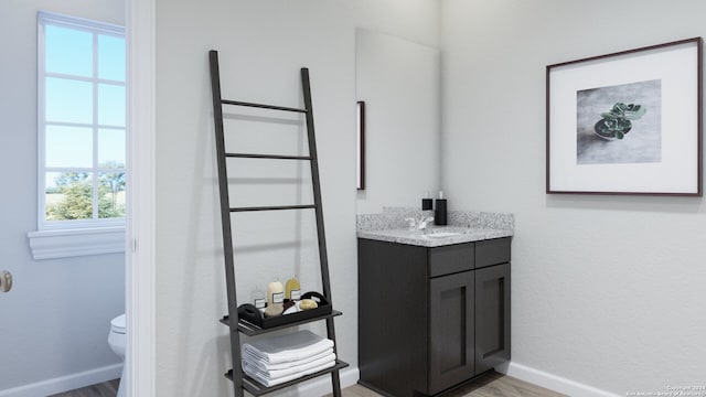 bathroom with vanity, hardwood / wood-style flooring, and toilet