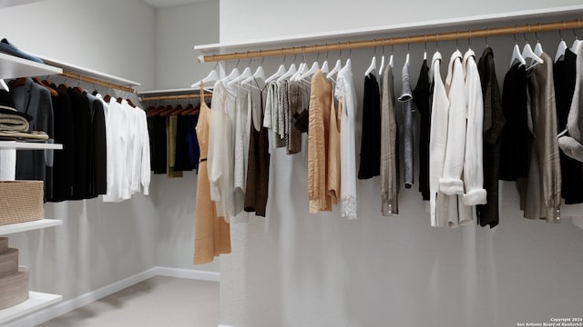 spacious closet with carpet