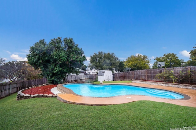 view of pool with a yard and a storage shed