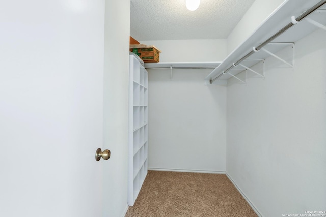 spacious closet with light colored carpet