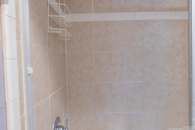 interior details with tiled shower