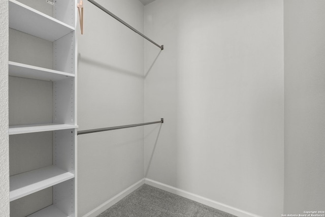 1002 Morningside Dr Unit 6, Terrell Hills, TX 78209 - spacious closet with carpet floors