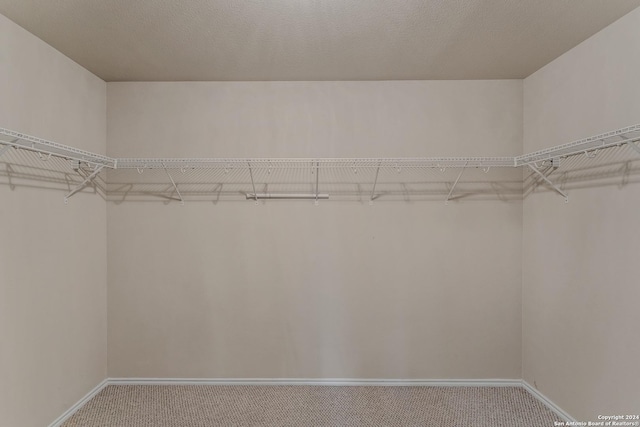 walk in closet with carpet floors