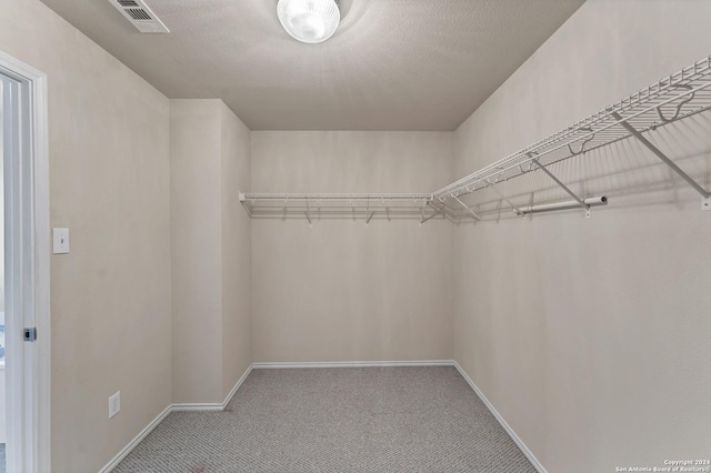 spacious closet with carpet flooring