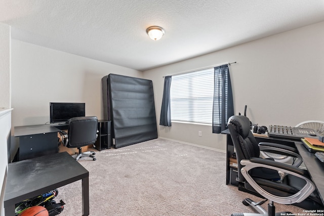 carpeted office space with a textured ceiling