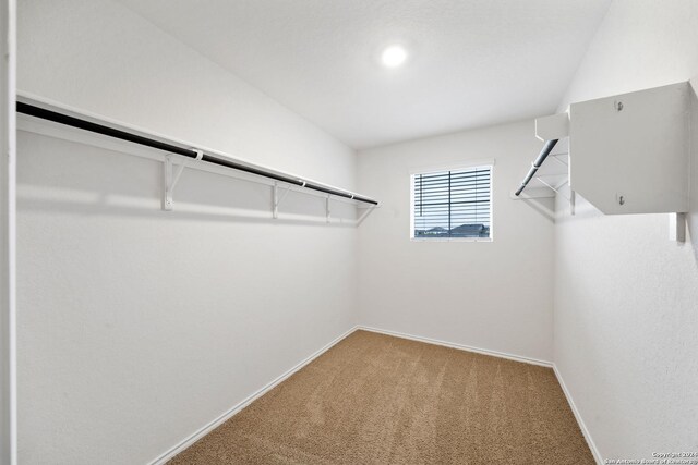 spacious closet featuring carpet floors