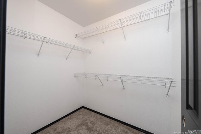 spacious closet featuring carpet