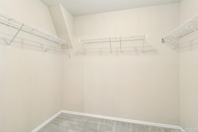 spacious closet featuring carpet flooring