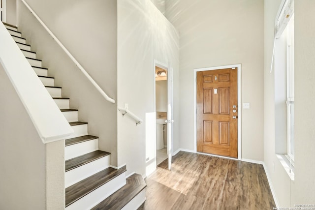 foyer with hardwood / wood-style floors and a high ceiling