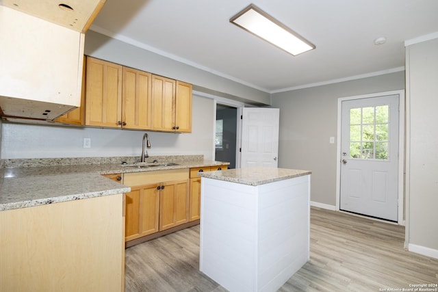 kitchen featuring a kitchen island, light wood-type flooring, sink, and ornamental molding