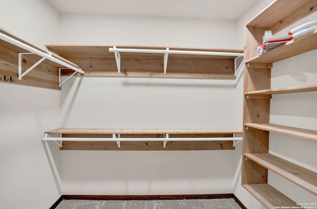 walk in closet featuring carpet