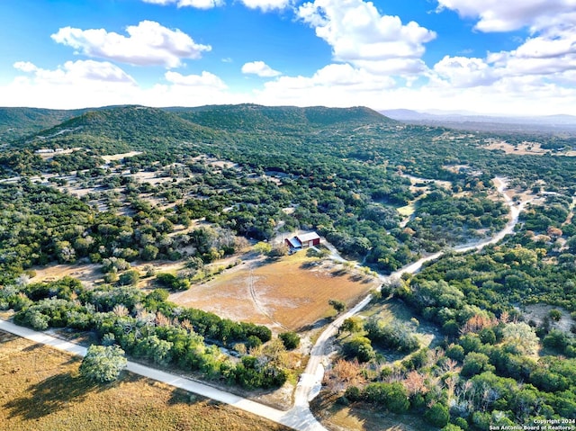 bird's eye view featuring a mountain view