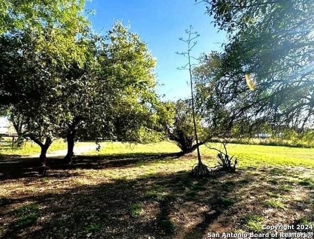 1254 Encino Dr, Pleasanton, TX 78064 - view of green lawn