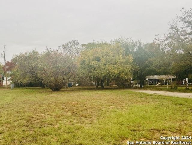 1254 Encino Dr, Pleasanton, TX 78064 - view of green lawn