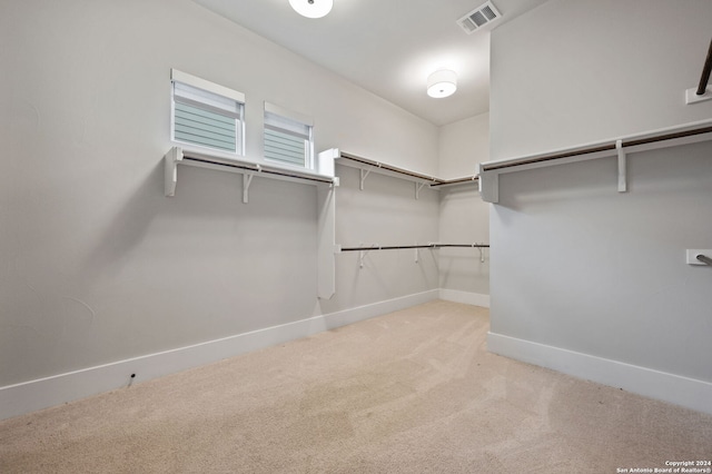 spacious closet featuring light carpet