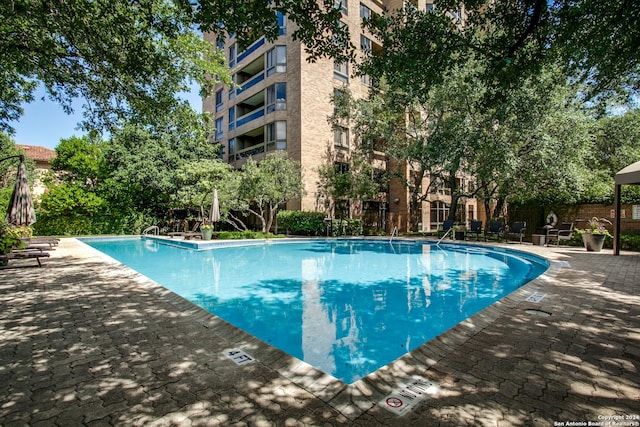 view of swimming pool