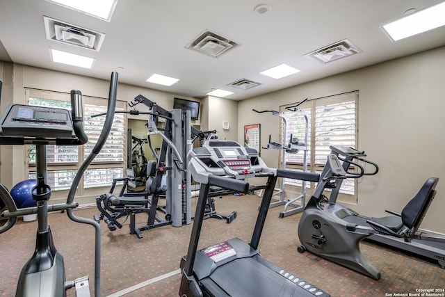 workout area featuring carpet flooring